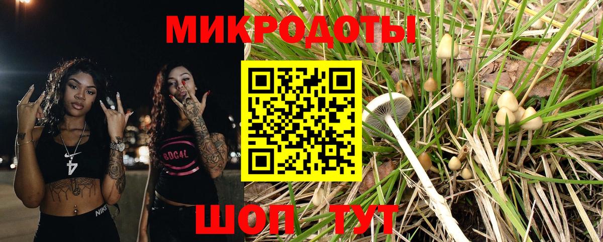 Псилоцибиновые грибы Magic Shrooms  Вход с VPN  Галлюциногенные грибы мухоморы  Геленджик 