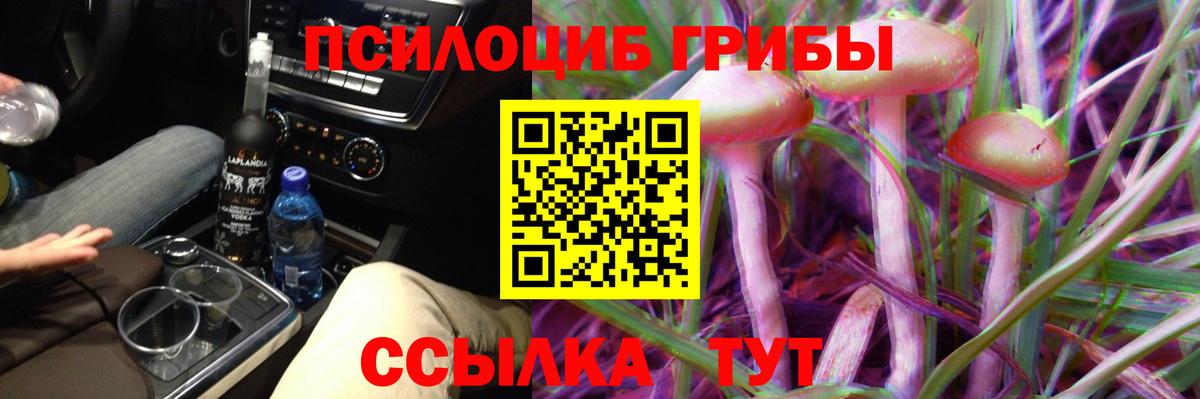 Галлюциногенные грибы GOLDEN TEACHER Геленджик